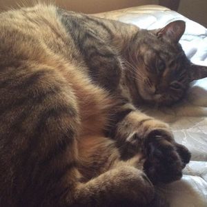 Meet your Posher, Ainsleigh